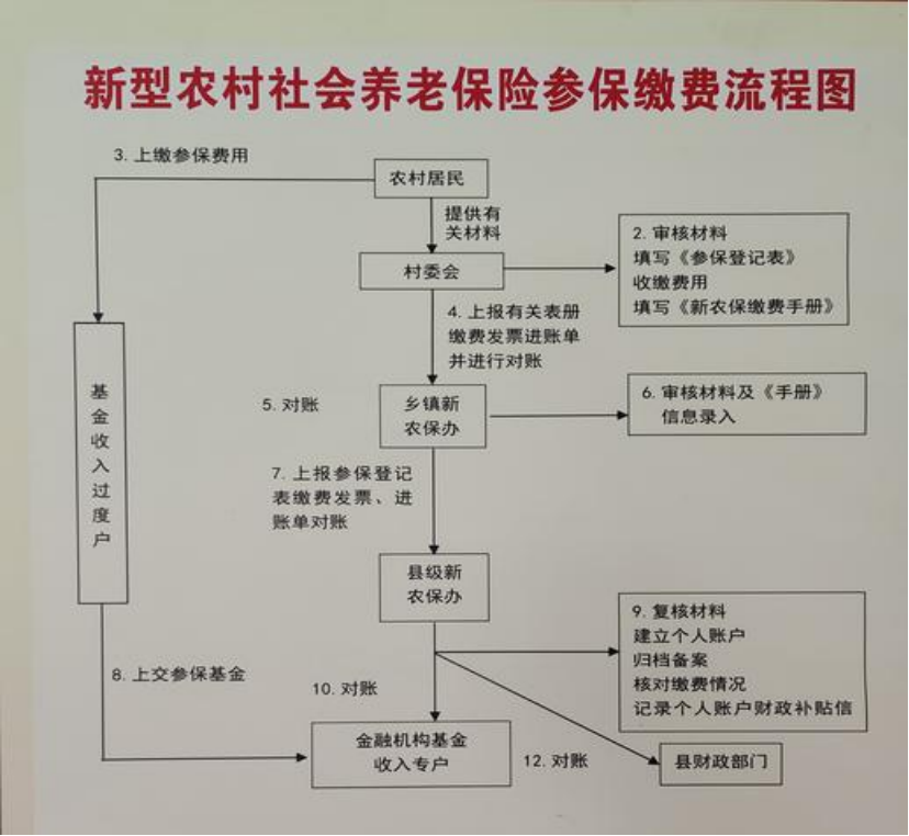 聊城农村医保和社保有什么区别(农村医保跟社保的区别)